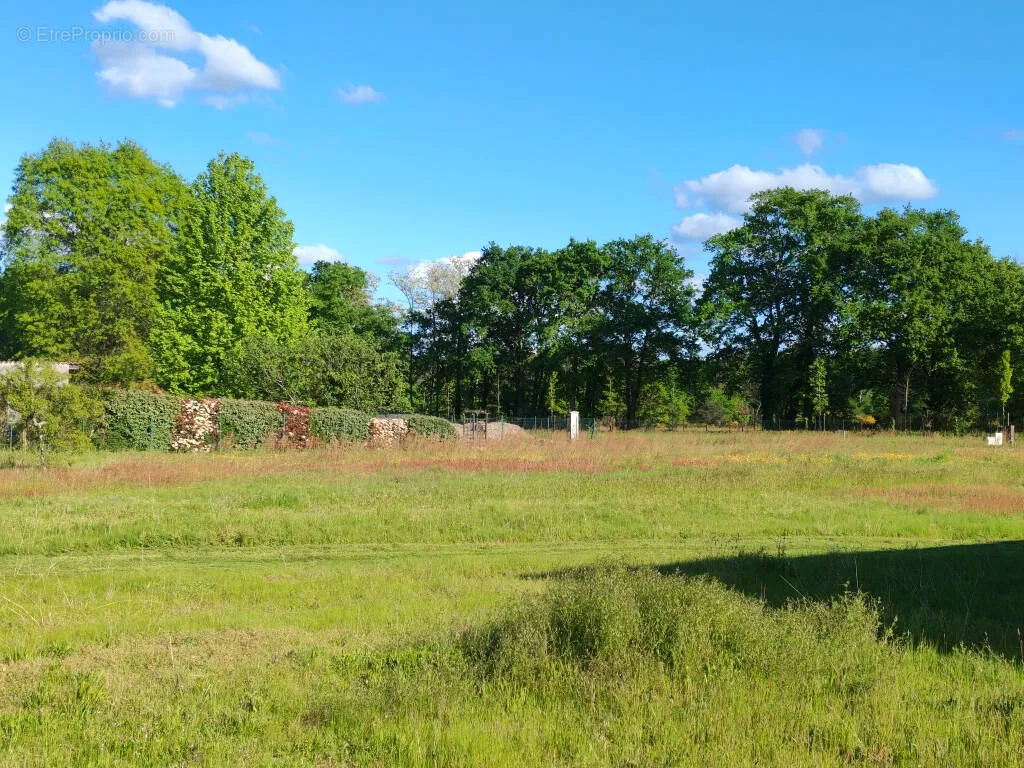 Aed - Buildable Plot with Greenway Access in Hinx Village