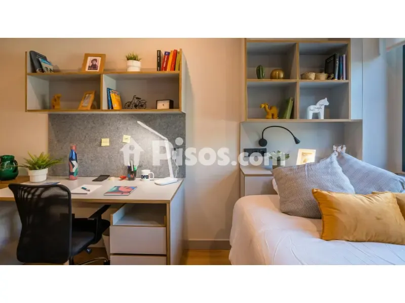 Magamistoad - Student Studio with Gym in El Besòs-El Maresme