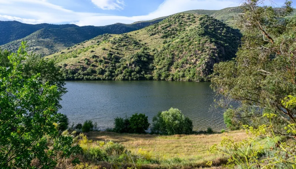 Vineyard with Riverfront in Douro Superior