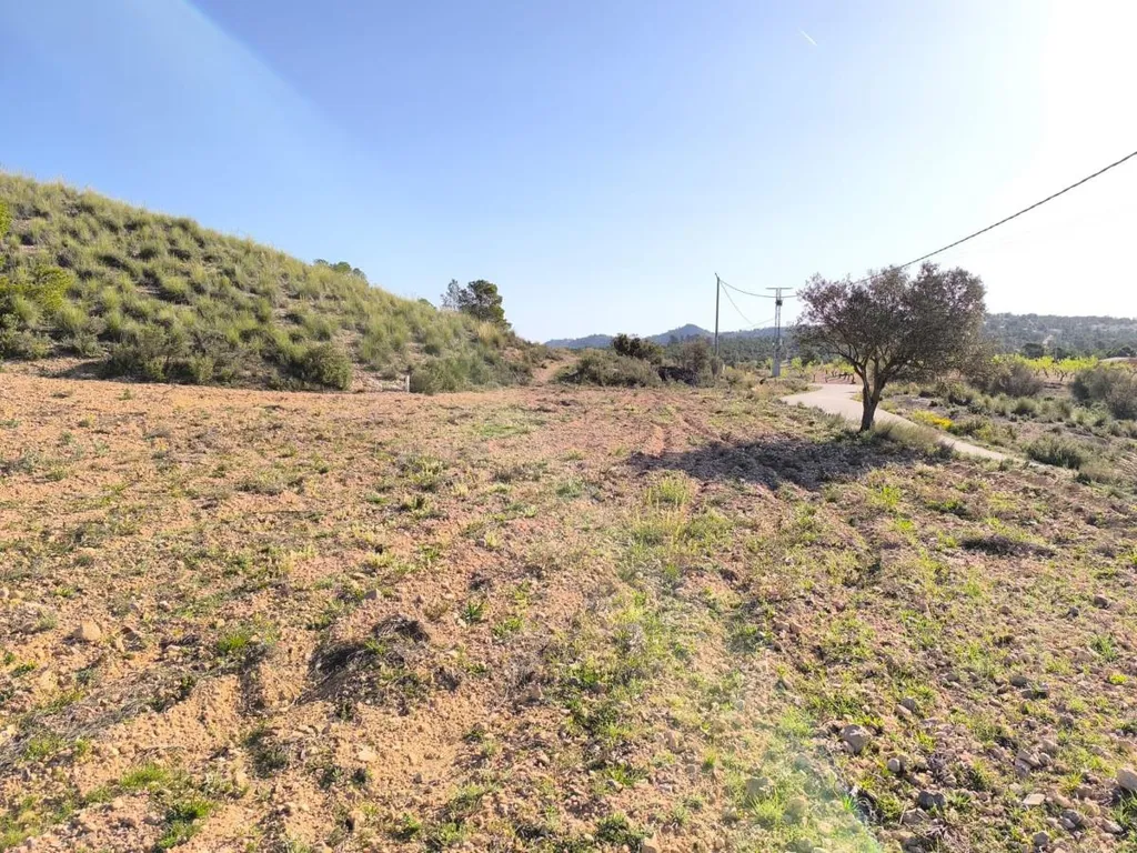 Jardin - Large Plot near Yecla