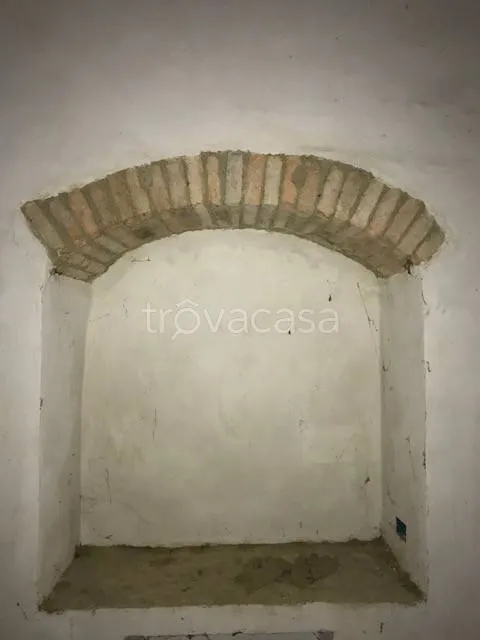 cellar