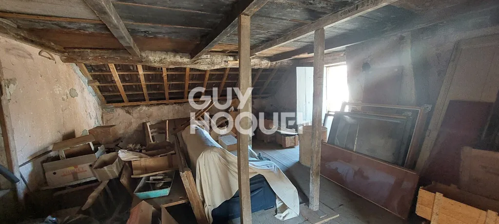 Toad - Two-Unit Property with Renovation Potential in Hérisson-sur-Amby