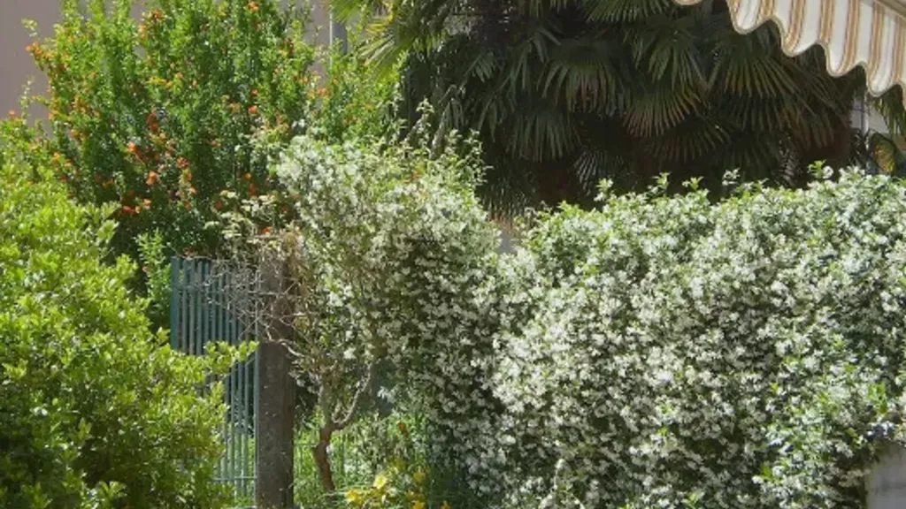 Jardin - Bifamily House with Garden near Ticino Park, Cameri