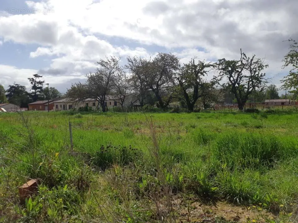 Aed - Buildable Plot with Garden near Dieupentale