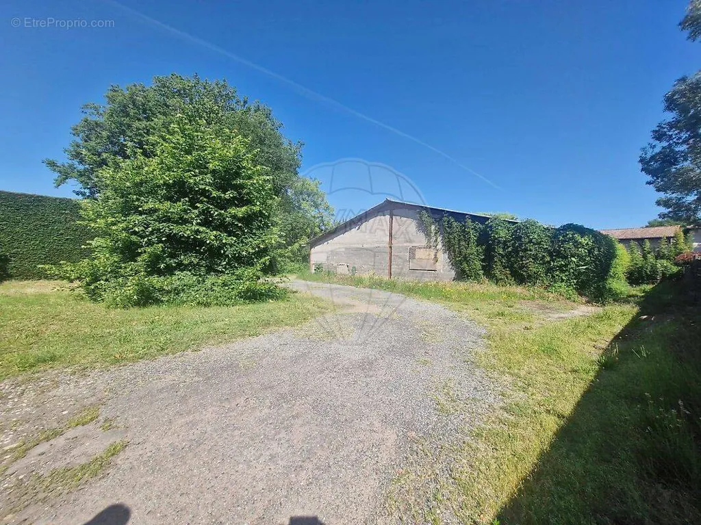 Extérieur - Terrain avec Hangar dans Lotissement à Guéreins