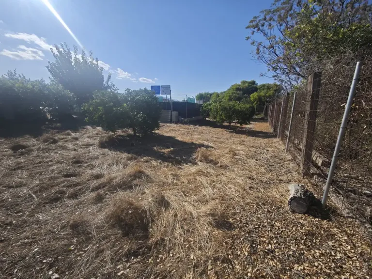 Rustic Land with Pool in Camino al Reguerón, Murcia