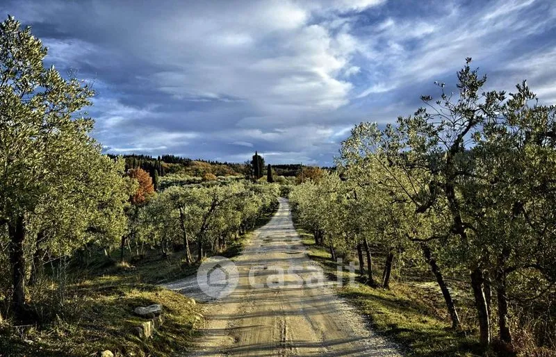 Extérieur - Chianti Farmhouse with Vineyard and Pool in Greve