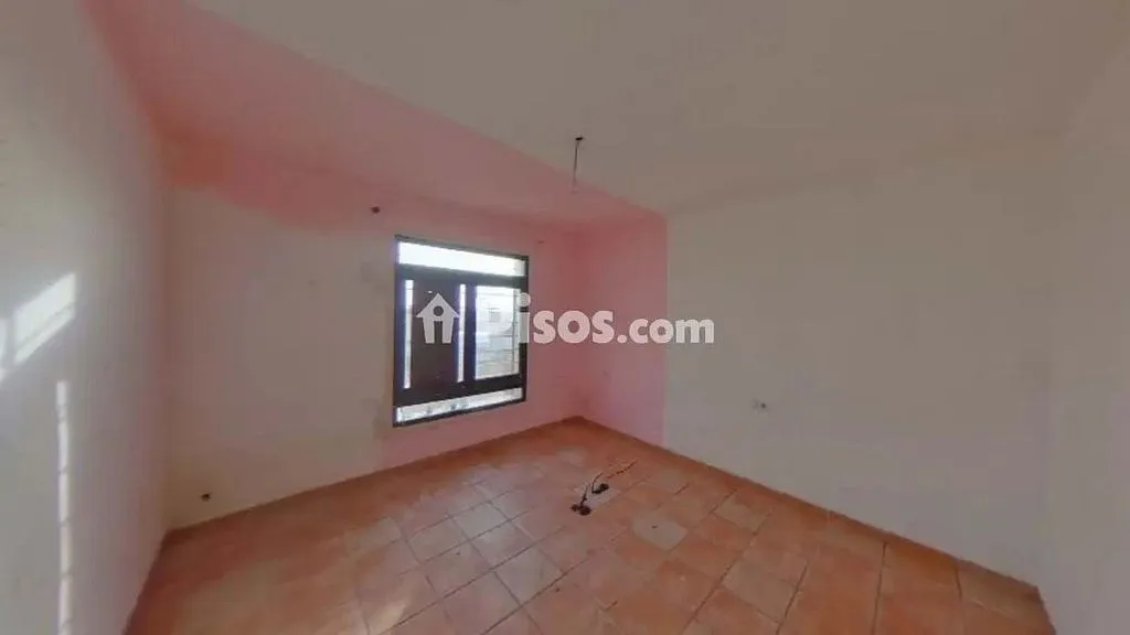 Toad - Three-Bedroom House near Blanes Beach
