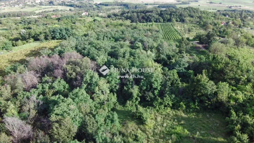 Vista aerea - Rural Plot with Panoramic View in Köveskál