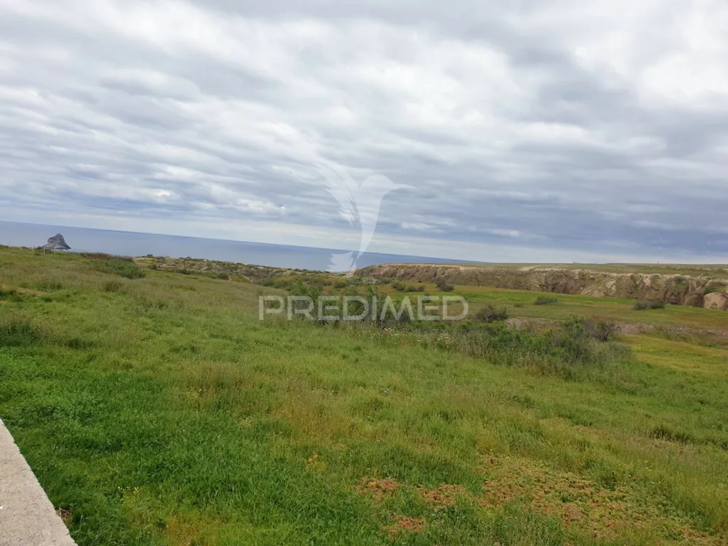 Garden - Flat Land with Sea View in Porto Santo