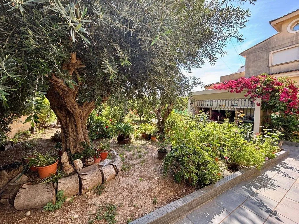 Jardin - Luxury Detached House with Garden in Daimús