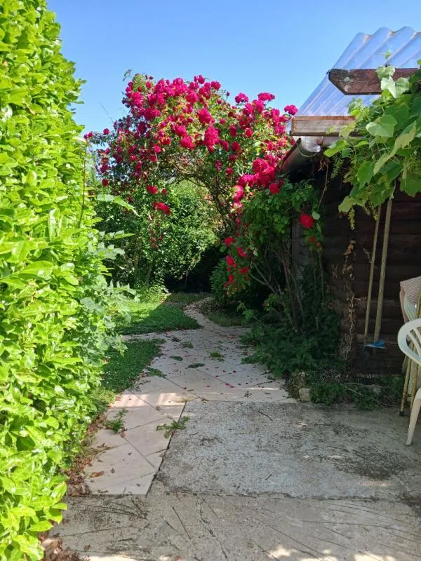 Giardino - 9-Piece House with Pool in Montain