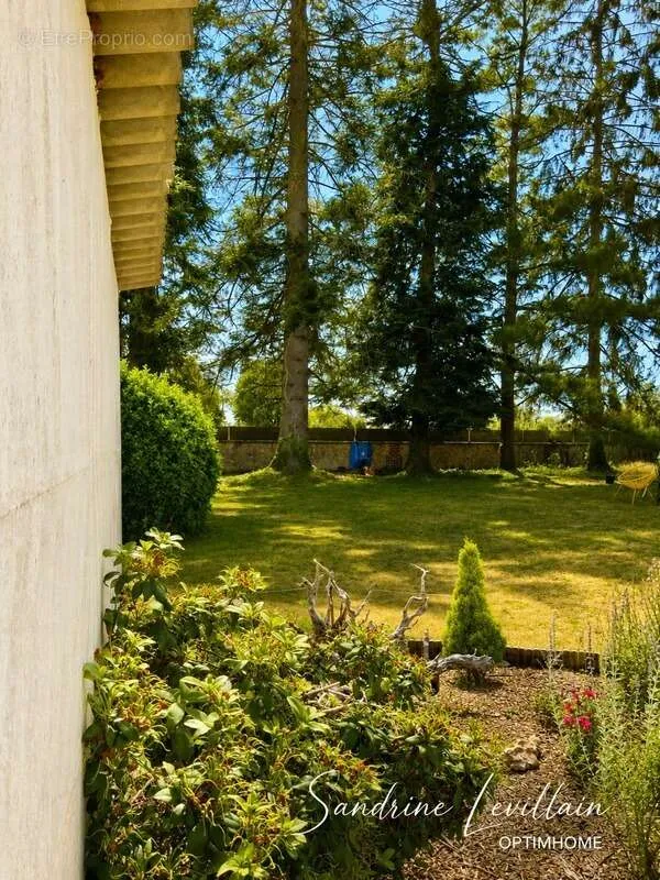 Aed - Spacious Detached House with Garden in Beaumont-le-Roger