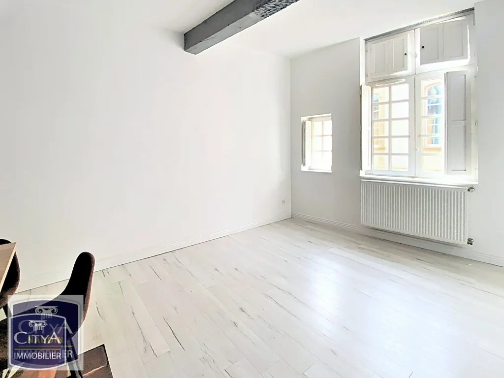 Toad - Modern Flat in Historic Centre, Montauban