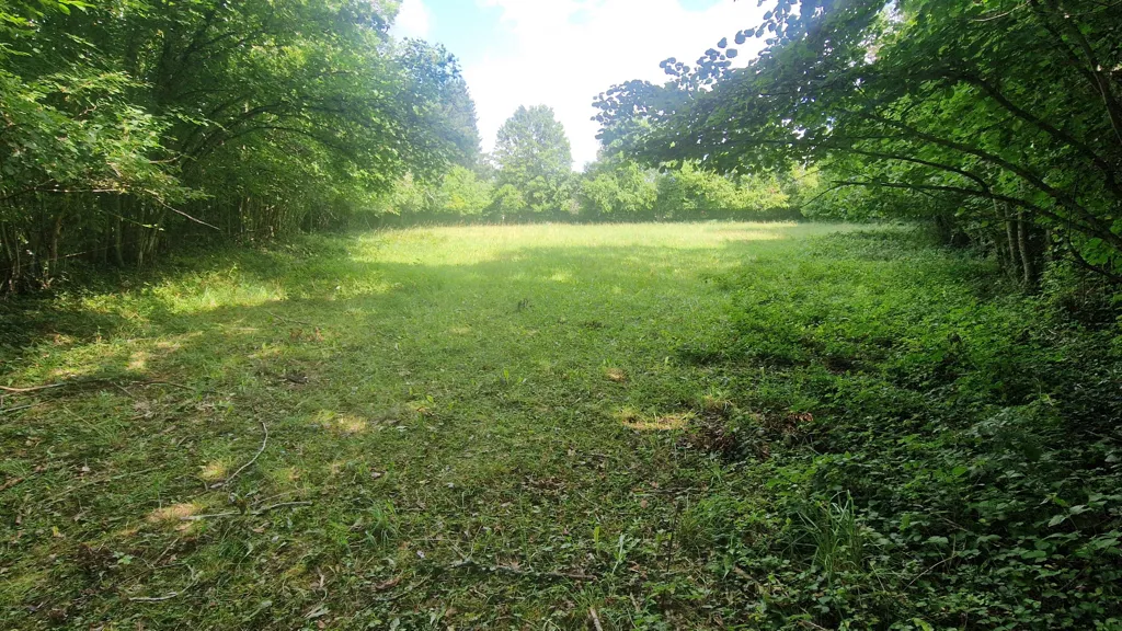 Jardin - Terrain Constructible au Calme à Chapdes-Beaufort