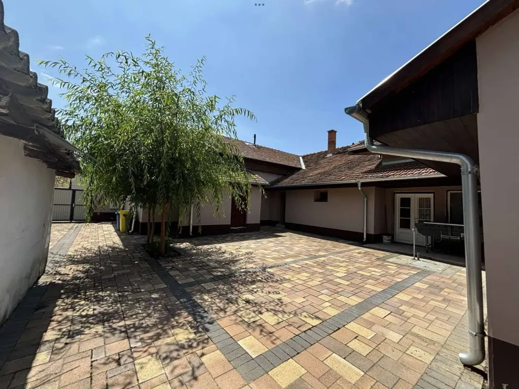 Garden - Commercial Property with Restaurant in Békéscsaba