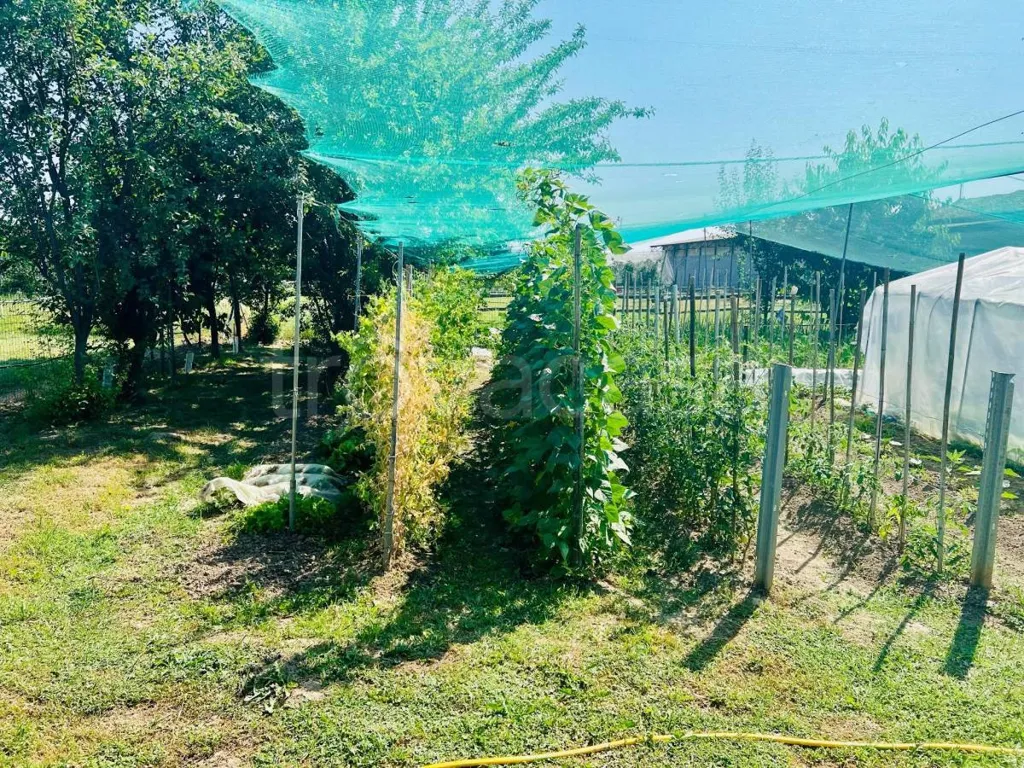 Jardin - Villa with Private Garden in Costigliole Saluzzo