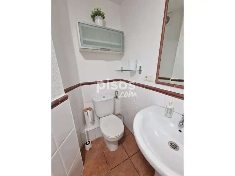 Vannitoad - Equipped Flat with Patio in Blanco Belmonte