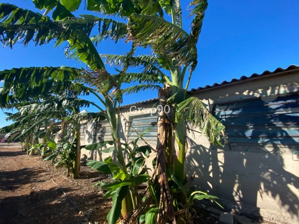 Jardin - Pig Farm with Cultivation in Cabanes