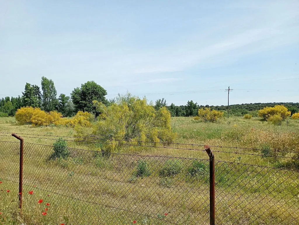 Aed - Chalet with Pool in Villanueva de la Cañada