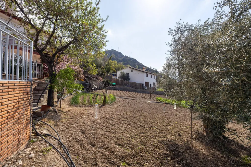 garden
