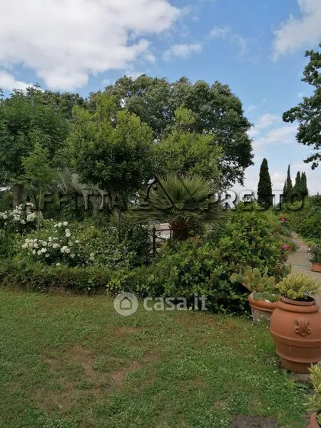 Jardin - Studio with Garden and Pool in Fauglia