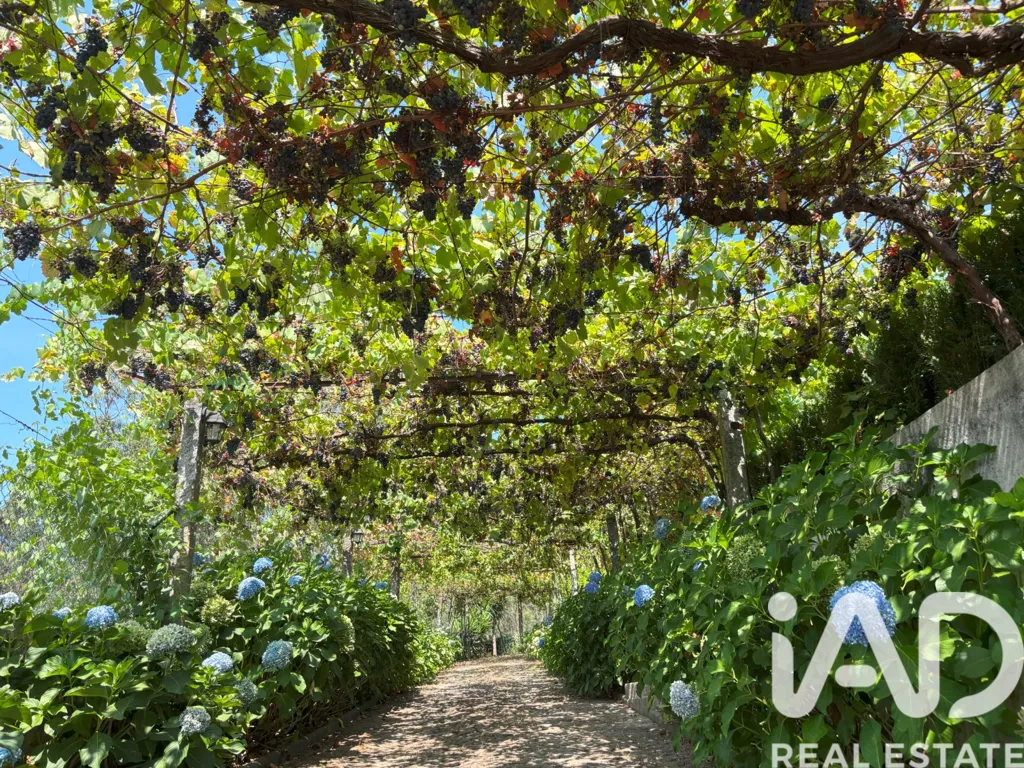 Jardin - Renovated Villa with Pool in Minho