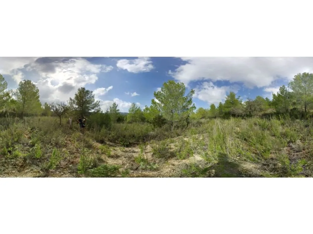 land_plot