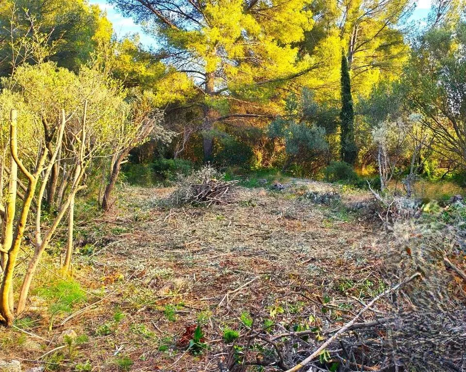 Aed - Buildable Plot with Garden in Toulon