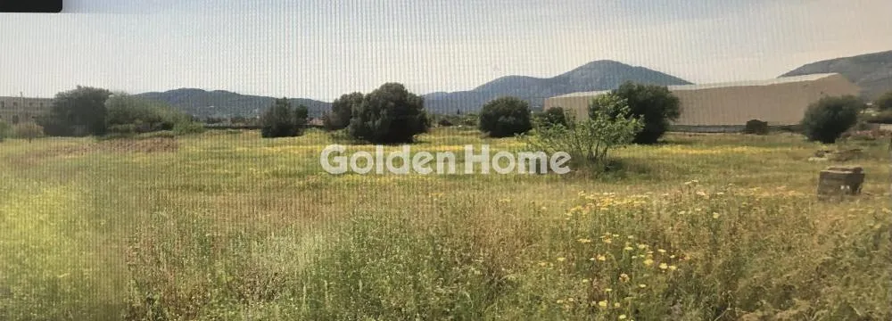 Jardin - Plot with Mountain View in Koropi