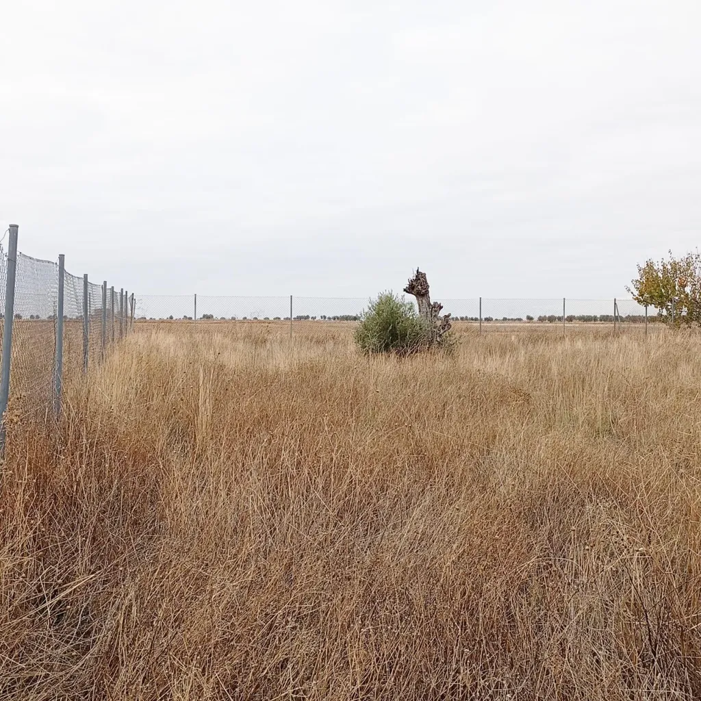 Jardin - Rustic Plot in Tranquil Yepes, Toledo
