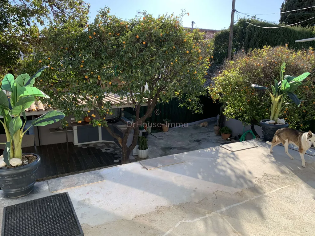 Jardin - Maison avec Piscine et Jardin en Centre-Ville