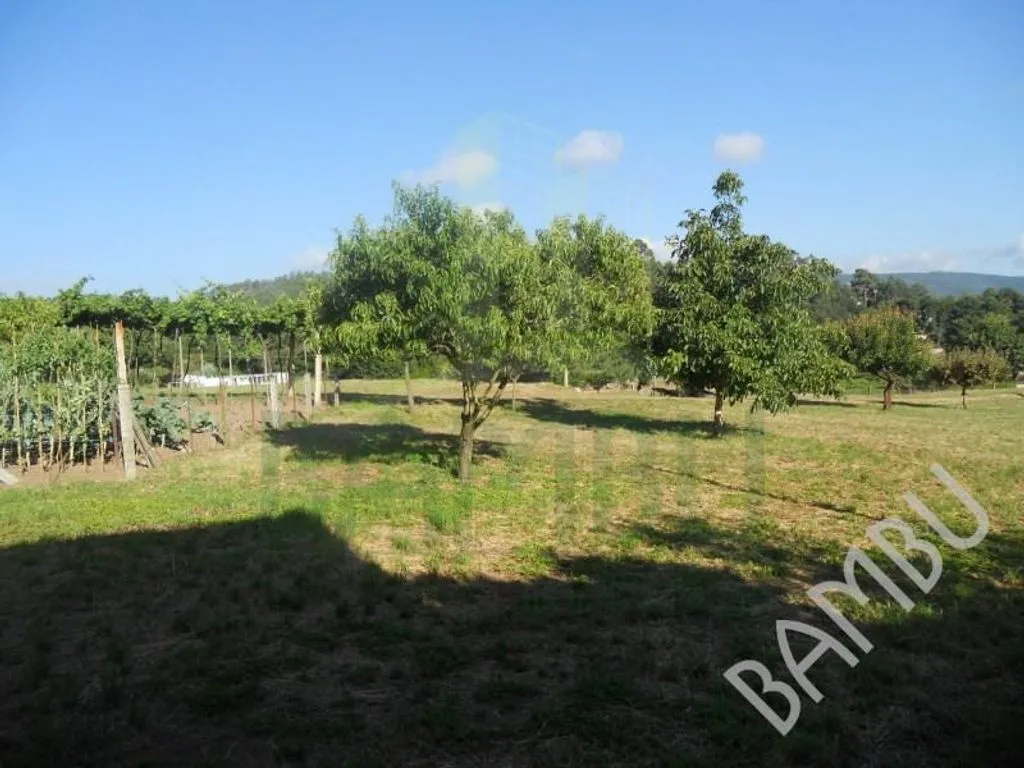Aed - Luxury Villa with South-Facing Garden in Caminha