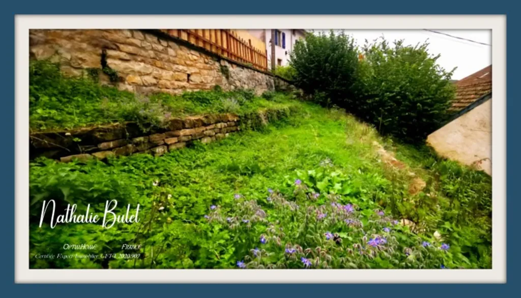 Jardin - Appartement avec Jardin à Plombières-les-Bains