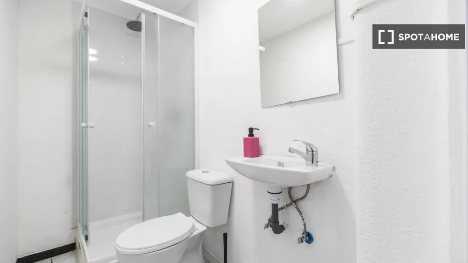 Vannitoad - 11-toaline korter asukohas Madrid Capital