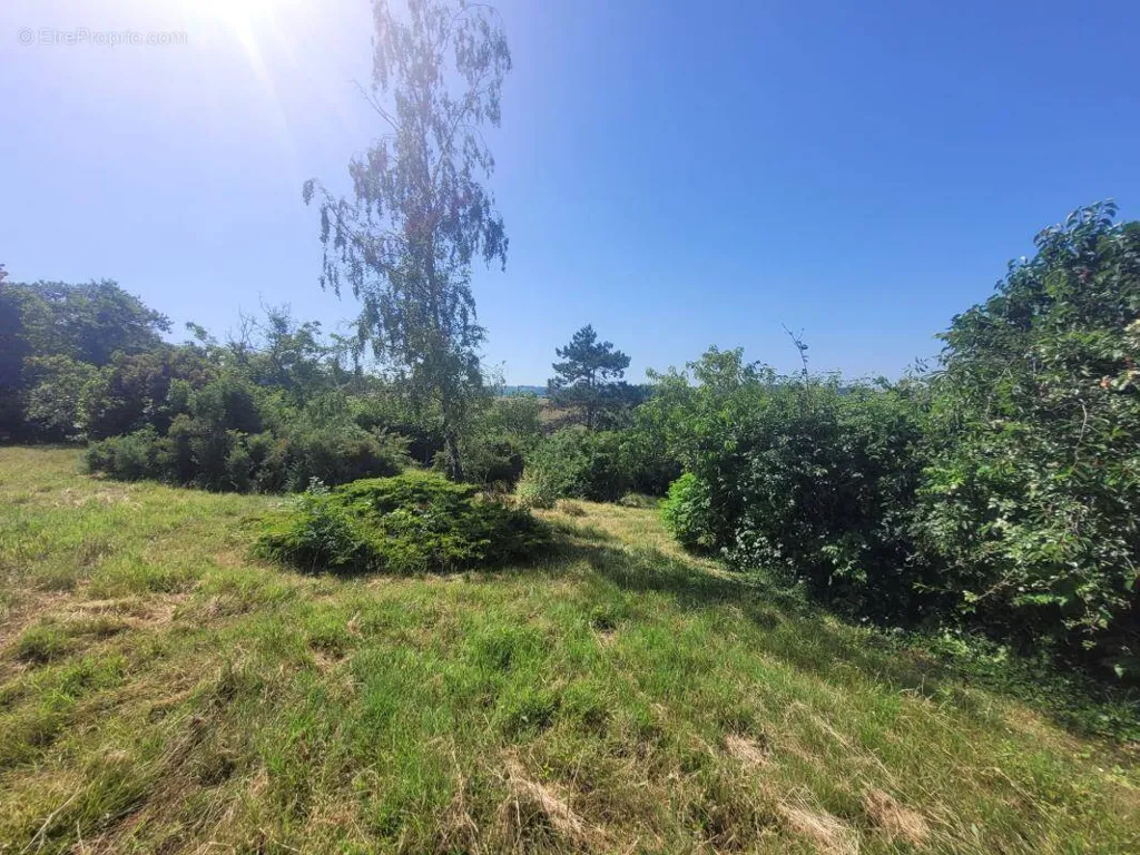 Garden - Exceptional Plot with View in Mons