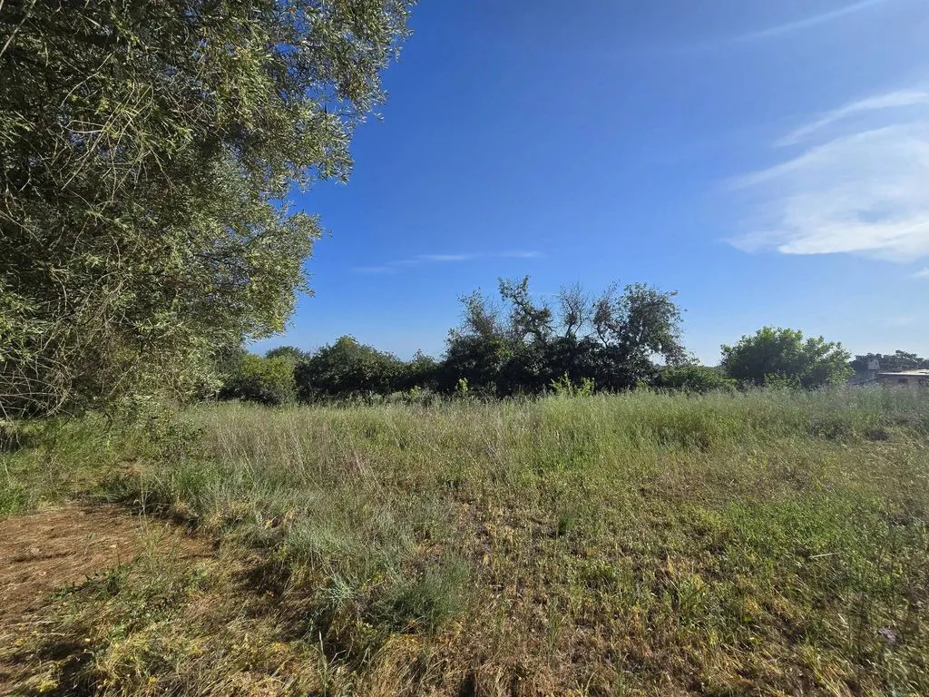 Jardin - Farmhouse with Fruit Trees near Tavira