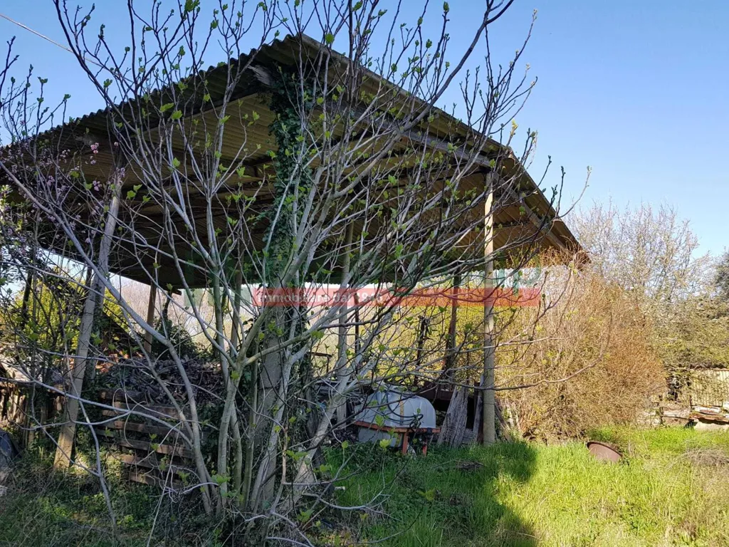 Aed - Tuscan Villa with Garden in Collesalvetti
