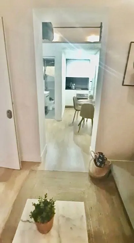 Séjour - Furnished Studio in Lavapiés, Madrid