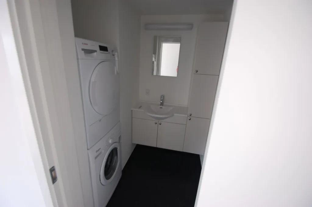 Buanderie - Recently Renovated City Flat with Balcony