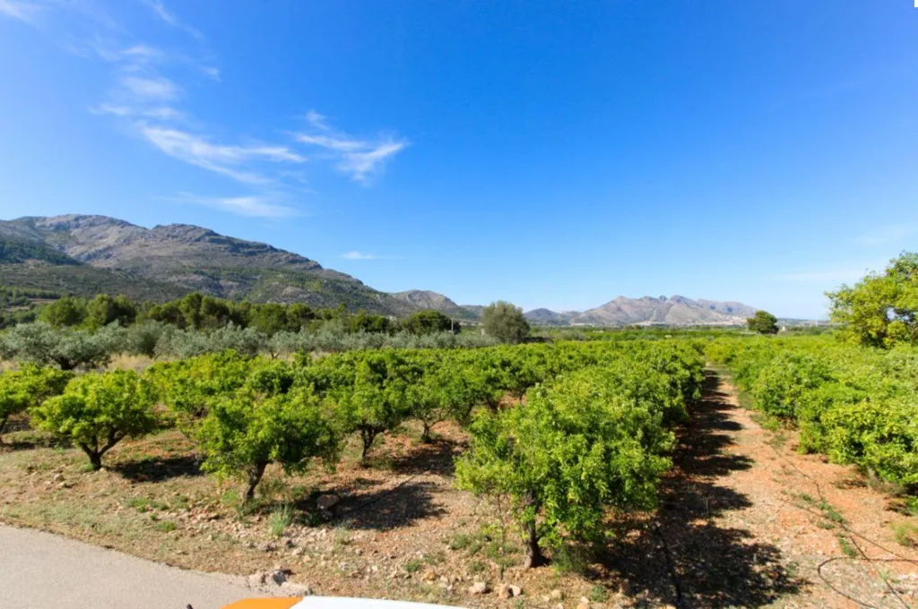 Giardino - Buildable Plot with Valley Views near Orba
