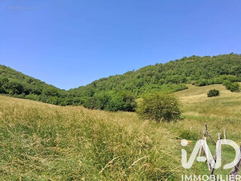 Aed - 17 Hectare Land with Water Source in Caylus