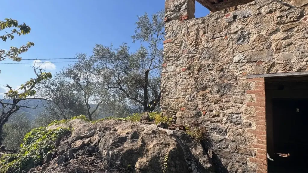 Extérieur - Rustic Property with Olive Grove in Lucca