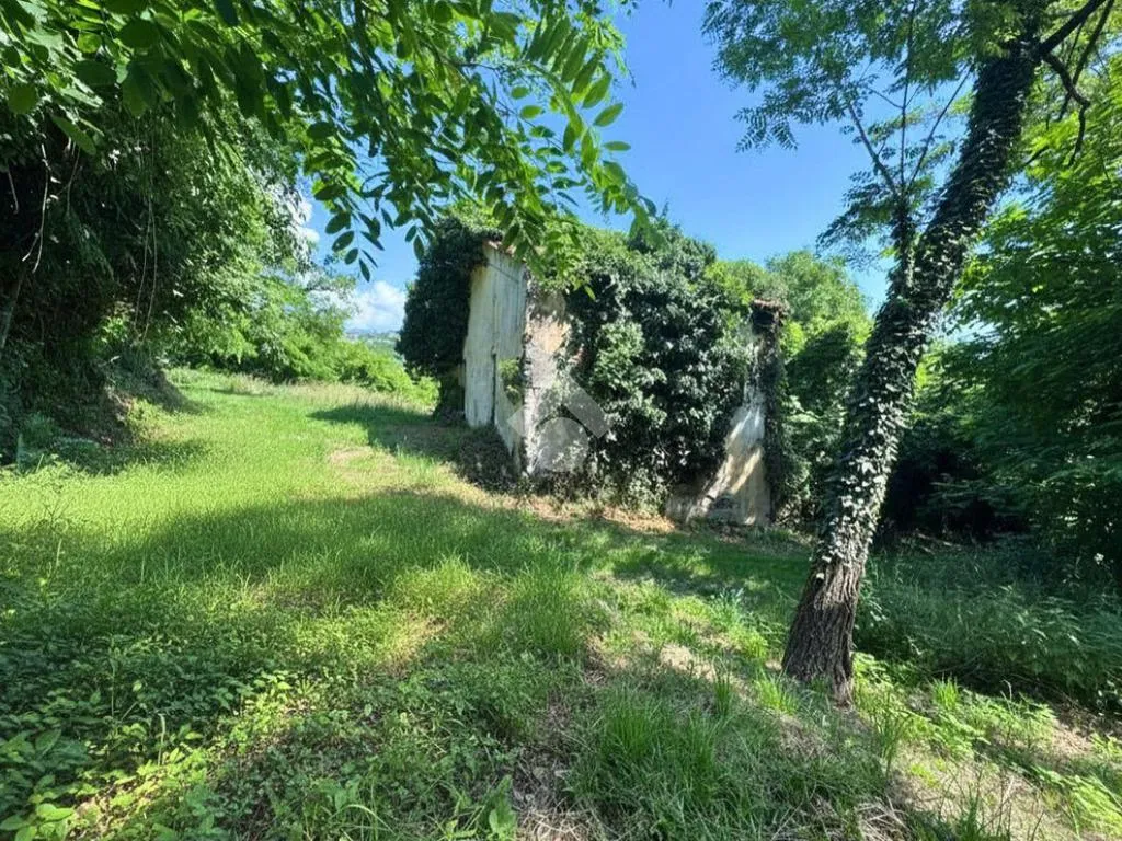 Garden - Rustic Cottage with Garden in Colceresa