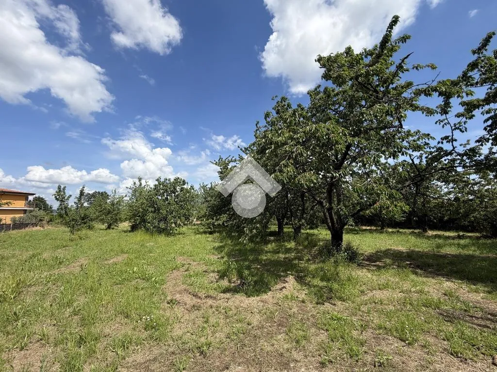 Jardin - Agricultural Land with Cherry Trees in Cervinara