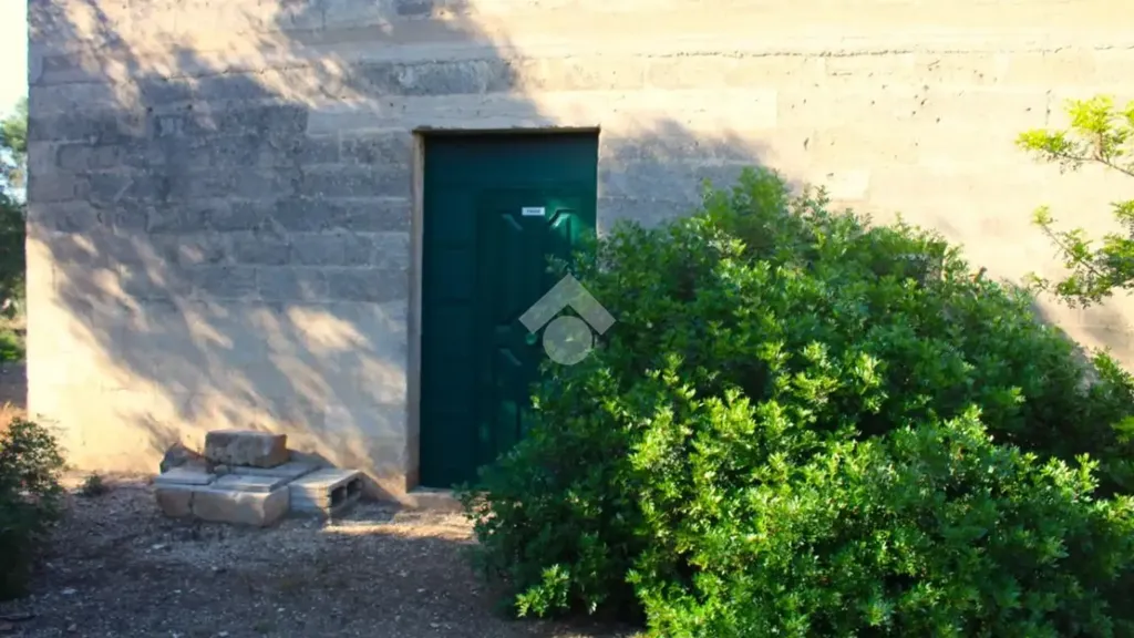Extérieur - Rustic Farmhouse with Pool Potential in Carovigno