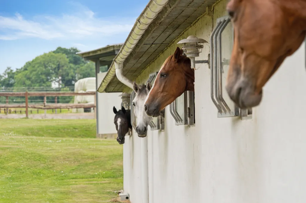 Extérieur - Equestrian Estate with Spa in Vinding