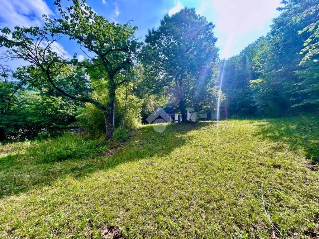 Garden - Signorile Villa with Garden in Caprie
