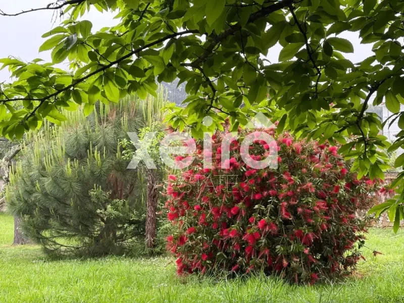 Aed - Modern Chalet with Private Garden in Carril