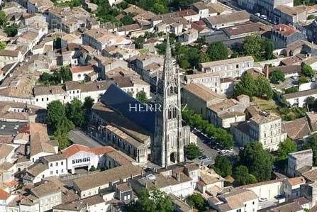 Vista aerea - Character House with Pool in Saint-Ferdinand, Libourne